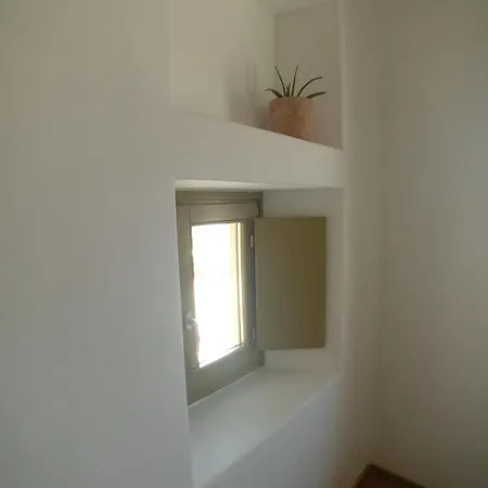 Aviola Mykonos Φτελιά
